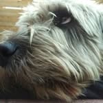 Tim Tappert - @tapperttim - Instagram