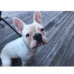 Tim Taylor - @timtaylor0013 - Instagram