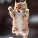 Tim Taylor - Facebook