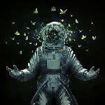 Tim Teske - @timiinator - Instagram