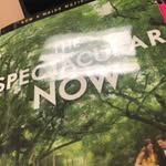 Tim Tharp - @the_spectacular.now_ - Instagram