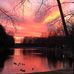 Tim Tharp - Facebook