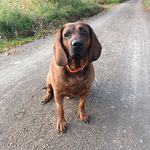 Tim Theobald - @theobald3721 - Instagram