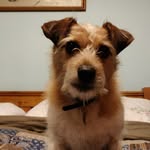 Tim Thomas - @tim.thomas.3 - Instagram