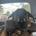 Tim Thornton - @tim_thornton00 - Instagram
