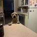 Tim Thornhill - Facebook