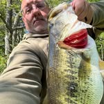 Tim Thornhill - @timathornhill - Instagram