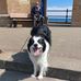 Tim Thornhill - Facebook