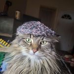 Tim Thurston - @tim.thurston2 - Instagram