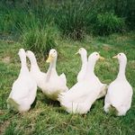 Tim Tice - @tim.tice - Instagram