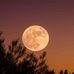 Tim Tidwell - Facebook