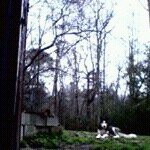 @tim_tidwell - Instagram