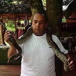 Timothy Timmins - @tim_timmins - Instagram
