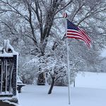 Tim Tipton - @timmytip4 - Instagram