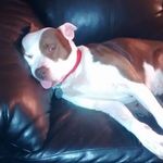 Tim Titus - @tim.titus.10 - Instagram