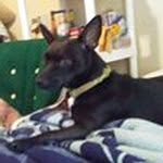 Tim Tobin - @tobin725 - Instagram
