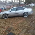 Tim Tolbert - @gecko.960972 - Instagram