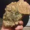 Tim Tolbert - @tim.tolbert24 - TikTok
