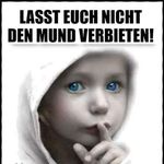 Tim Tolle - @gambi11664 - Instagram