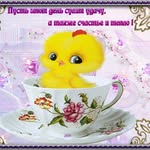 тим томаш - @tim.tomash - Instagram