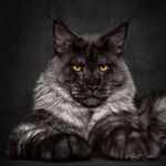 Timothy Touchton - @timothytouchton - Instagram