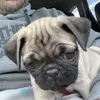 Tom Tougas - @user343974798 - TikTok