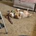 Tim Towery - Facebook