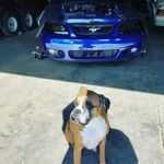 Tim Townsend - @ttsbcobra - Instagram