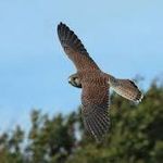 Tim Townsend - @t_townsend2 - Instagram