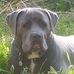 Tim Trott - Facebook
