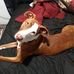 Tim Truitt - Facebook