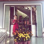 Tím Trương - @tim.truong.9 - Instagram