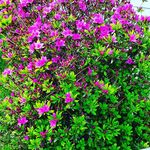 Tim Truong - @t.t.tim - Instagram