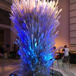 Tim Truong - @tim.truong.334839 - Instagram