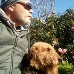 Tim Turnbull - @tim.turnbull.754 - Instagram