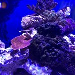 Tim Underhill - @und3rhill76 - Instagram