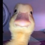Timunderhill - @lfclesgo - Instagram