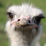 Tim - @tim__unger - Instagram