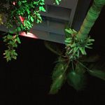 Tim Unger - @tim_unger02 - Instagram