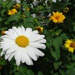 Tim Unwin - @timun1964 - Instagram