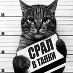 Тимур ясинский - @timuriasinskii - Instagram