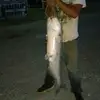 Timmy Ussery - @timmyussery - TikTok