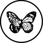 Beast & Butterflies Times Square New York - @beastandbutterfliestimessquare - Instagram
