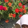 timutzare - @timutzare - TikTok