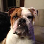 Tim - @timvachon - Instagram