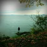 Tim Vaillancourt - @tim.vaillancourt - Instagram