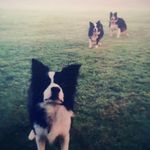 Tim Valentine - @timvalentine1136 - Instagram