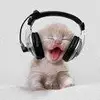 tim - @timvance06 - TikTok
