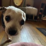 Tim Vanderpool - @vanderpool.tim - Instagram