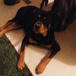 timothy vanderpool - @timothy__vanderpool - Instagram